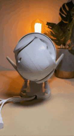 GIF animado