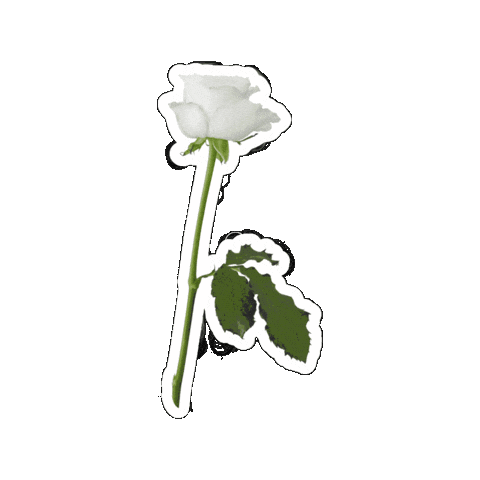 Sticker by Maison de FLEUR
