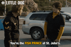 dog comedy GIF by CBC