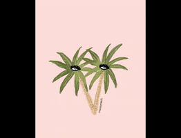 palm tree summer GIF