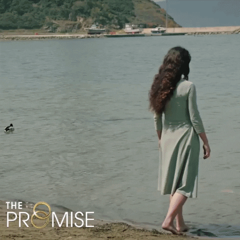 The Promise Beach GIF by Eccho Rights