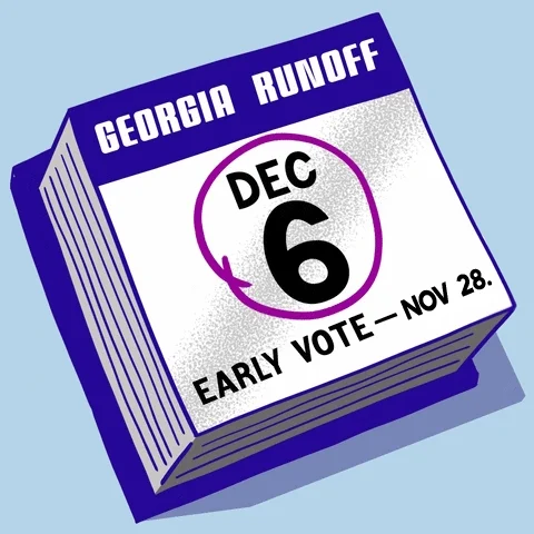 Vote Early Election Day GIF