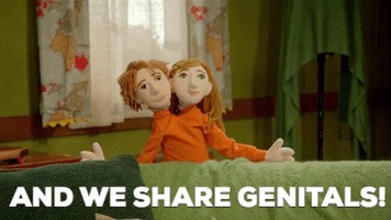 puppets we share genitals GIF by Adult Swim