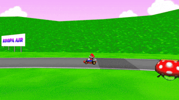 Mario Kart Racing GIF by PERFECTL00P