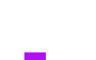 Festival Culture Sticker