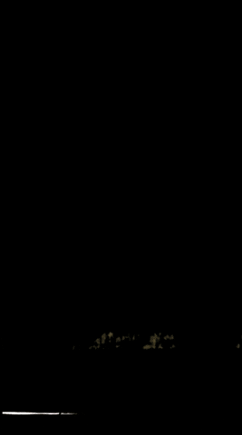 nhvracov GIF