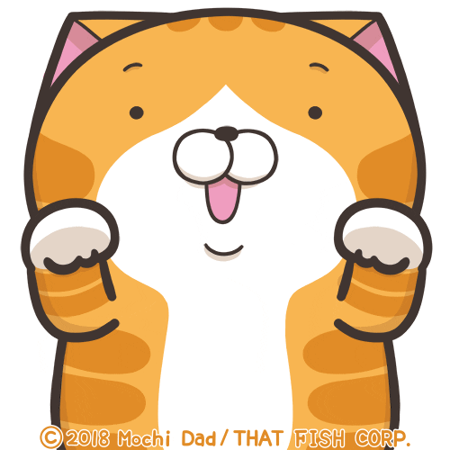 Dance Cat GIF by MochiDad Find & Share on GIPHY