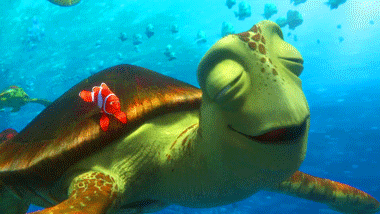 Finding Nemo Crush GIFs - Get the best GIF on GIPHY