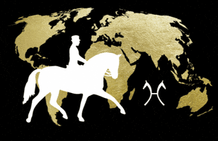 GIF by Hannoveraner Verband