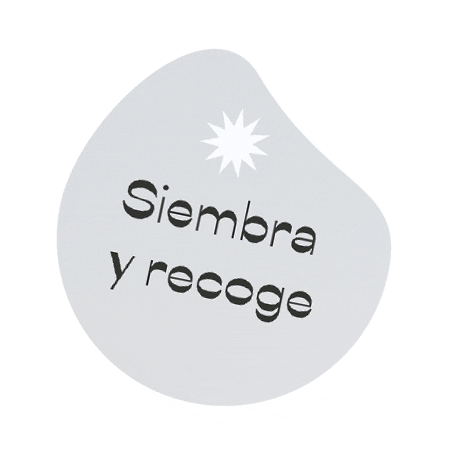 Calma Sticker