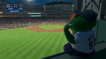 Red Sox Sport GIF by MLB