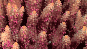200.gif?cid=fc005b08324056045b0770f6311866ab5363e6b55b1b534c&rid=200.gif&ct=g