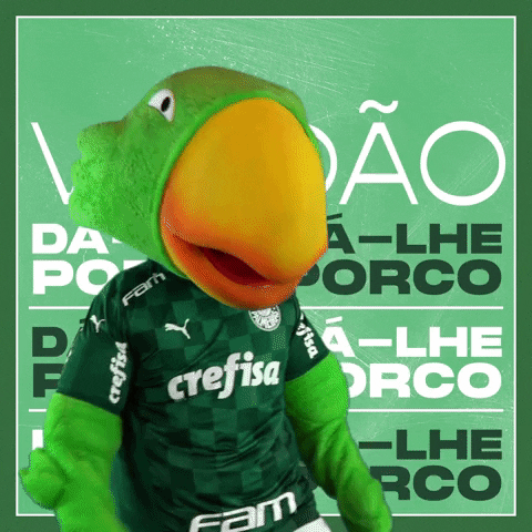 Soccer Futebol GIF by SE Palmeiras