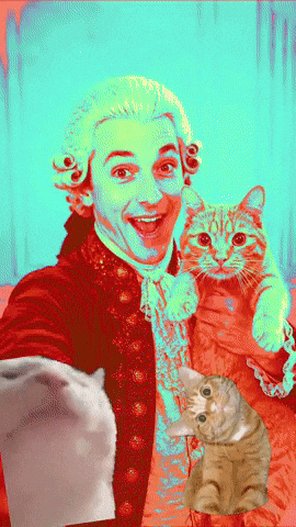 Mozart GIF by Alpha Films