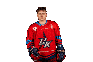 Hron Sticker by UK KINGS PRAGUE