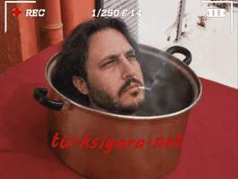 Fkknivesofumbra GIF