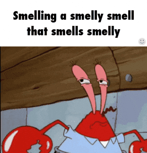 smelling GIF