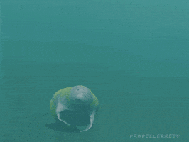 I Love You Hello GIF