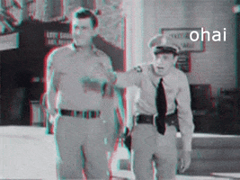 andy griffith ohai GIF by Challenger