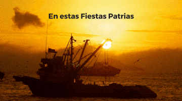 fiestas patrias GIF by SociedadNacionaldePesquería