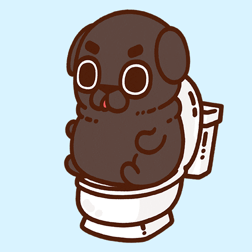 Toilet Ollie GIF by Puglie Pug