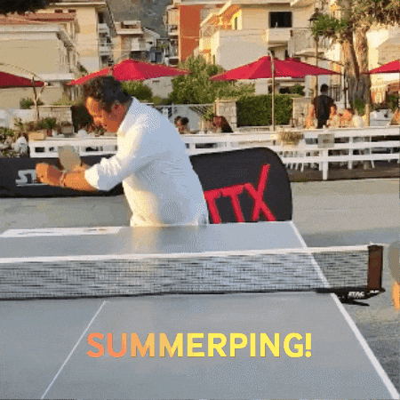 PINGWINGS GIF