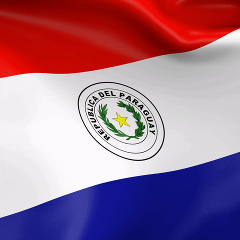 Paraguay Efrain GIF by Efraín Alegre