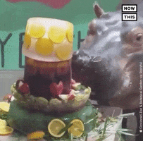Hungry Feed Me GIF by NowThis