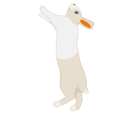 Rabbit Lapin Sticker