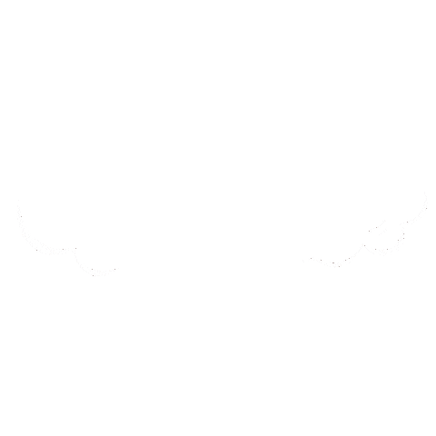 Energy Sticker by Dr. Karg's