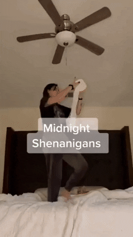 giphy.gif