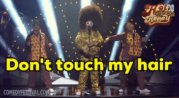 Hip Hop Dont Touch My Hair GIF by Hot Brown Honey