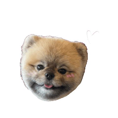 Dog Jessi Sticker