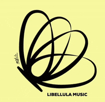 GIF by Libellula Music
