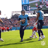 Happy Tennessee Titans GIF by NFL