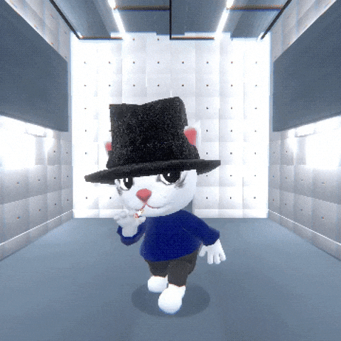 Cat Jamiroquai GIF