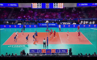 France Olympics GIF by Brown Volleyball