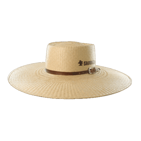 Hat Cowboy Sticker by Sacudidos