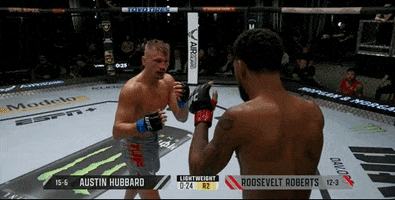 Episode 9 Fighting GIF by UFC