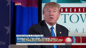 orlesian-regal #donald trump GIF