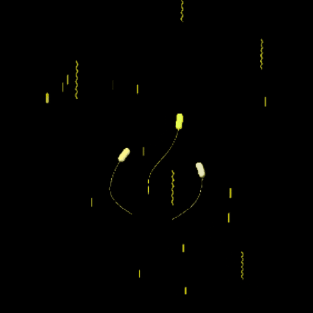 Voodoo Digital GIF
