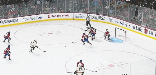 boston bruins