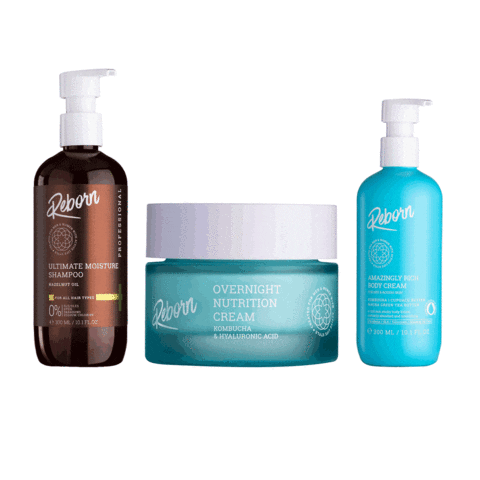 Reborn Israel Sticker