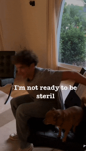 Halloween GIF