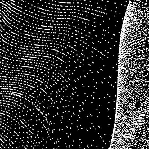 Black And White Loop GIF by xponentialdesign