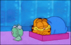 https://media3.giphy.com/media/PcNP2WOVTgYw0/giphy.gif