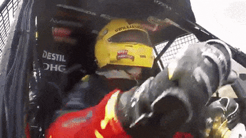 the beast rally GIF by Tom Coronel