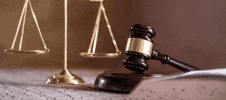 Attorney GIF