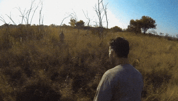 200.gif?cid=f0bdee70r5uosaohf97ei29yh166w9gvzbc2hw0ja2702rbn&rid=200.gif&ct=g