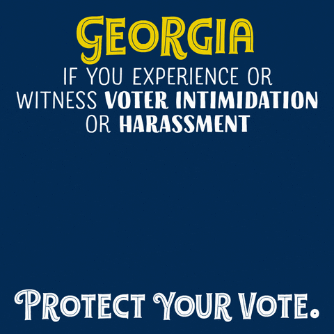 Election 2020 Georgia GIF by Creative Courage